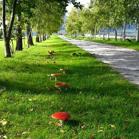فيلا Lilydaleفي Plovers Ridge Country Retreat الغرفة الصورة