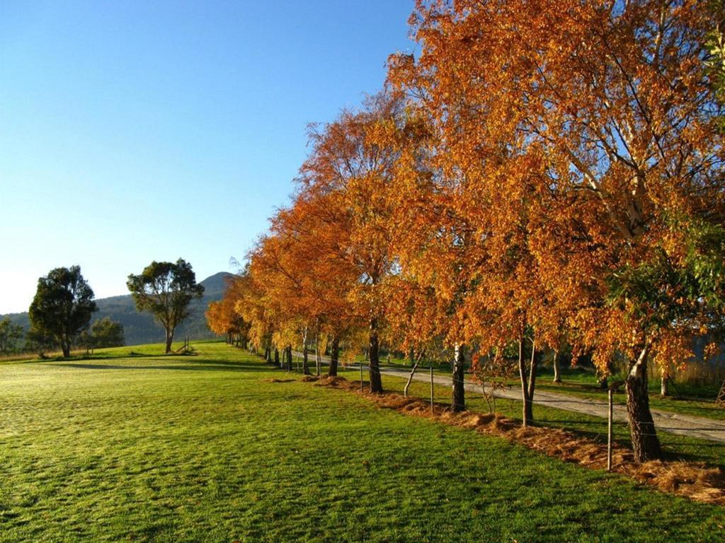 فيلا Lilydaleفي Plovers Ridge Country Retreat الغرفة الصورة